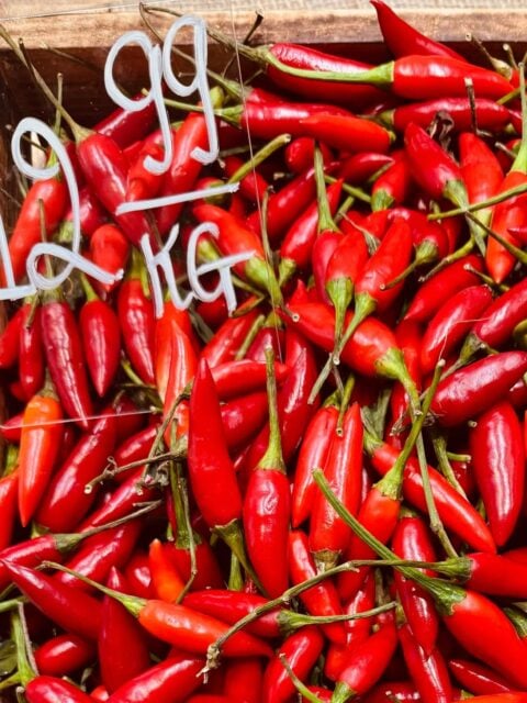 Bird’s eye chillies may look rather charming, but they carry a surprising amount of fire. In many Southeast Asian kitchens, just one or two is enough to awaken an entire dish.

Add them to noodles, stir-fries, or a quick chilli sauce and watch the flavour come alive.

Handle with enthusiasm. Perhaps a little caution.

#chilies #birdseyechilli #spicyfood